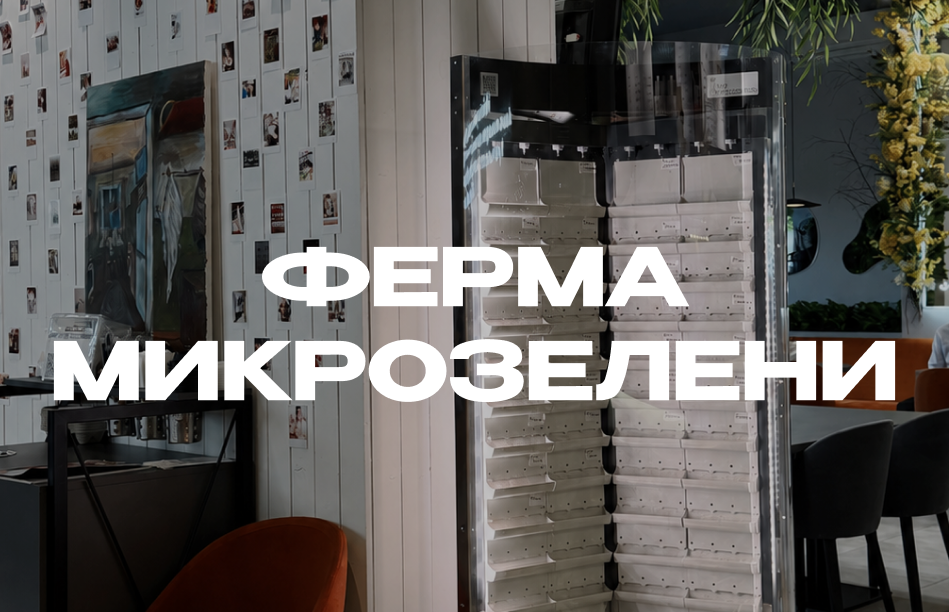 Своя ферма микрозелени
